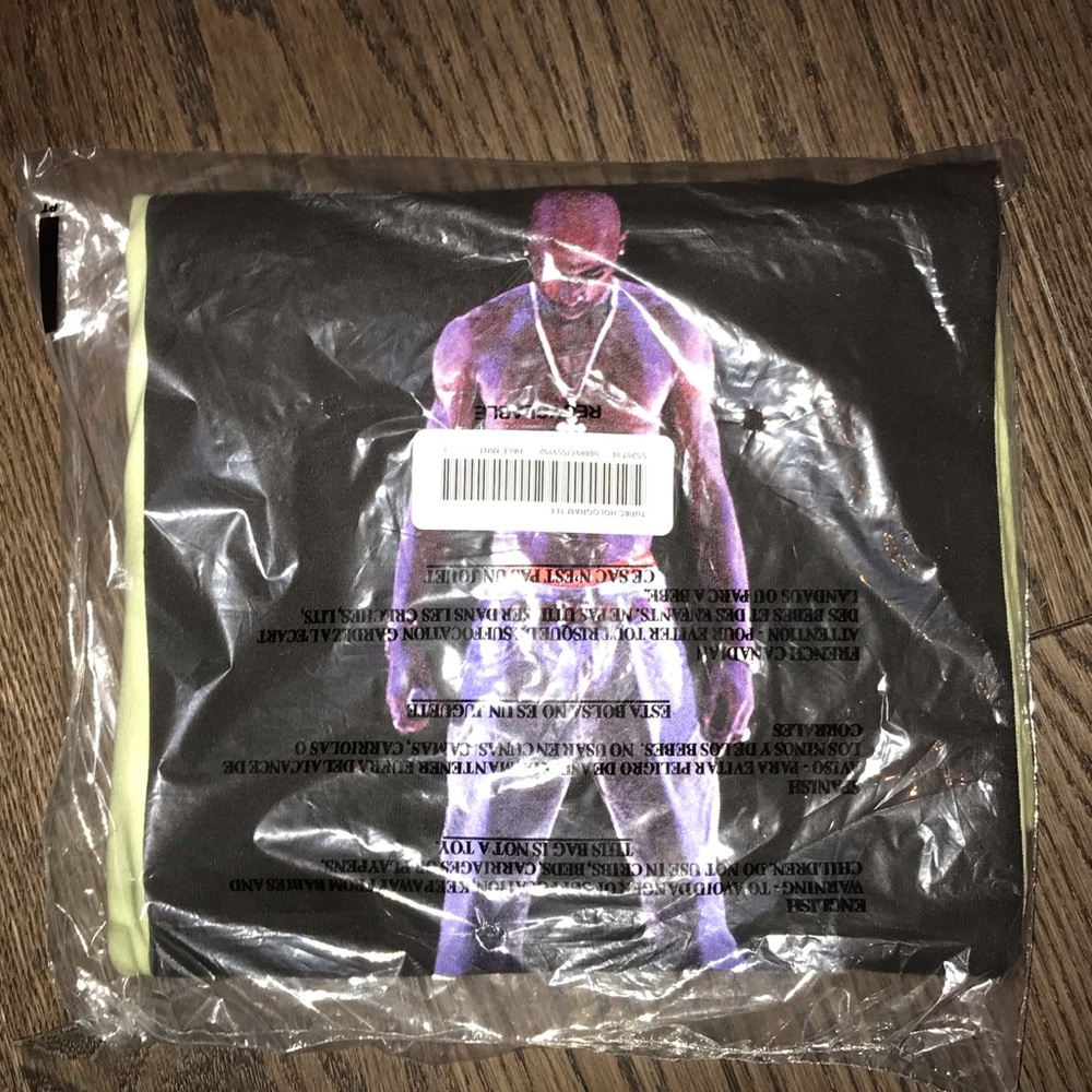 Brand New Supreme Hologram Tee Pale Mjnt
